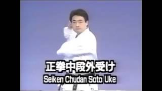Seiken Chudan Soto Uke