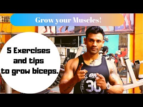 The Biceps Workout || Grow Your biceps || Sumit Das