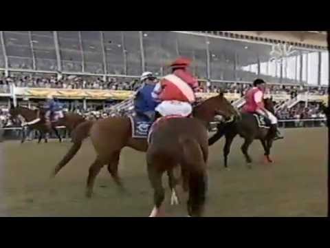2005 Preakness Stakes (+Post-Race Results)