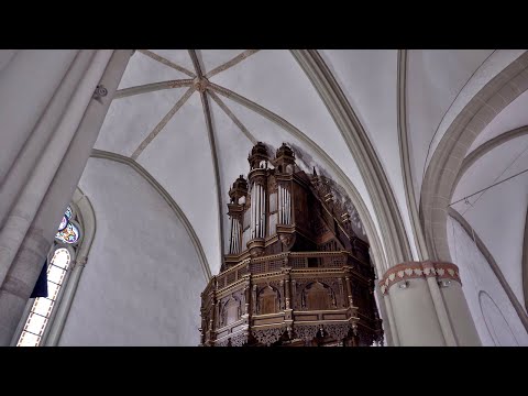 Organ music by Hieronymus Praetorius (1560-1629); Léon Berben, H.Scherer organ of Lemgo, St.Marien