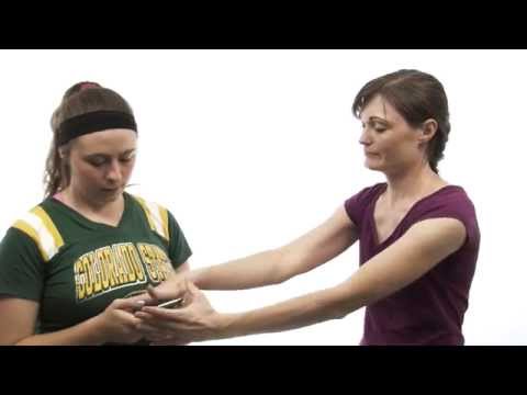 WiseUp - 1分間の箴言15:5 (WiseUp - One Minute Proverbs 15:5)