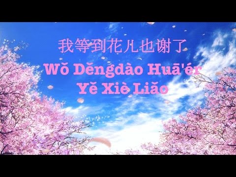 Em đợi đến hoa cũng tàn A-Lin 我等到花儿也谢了 Wǒ Děngdào Huāér Yě Xiè Liǎo karaoke