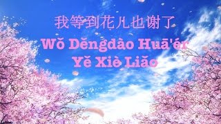 Em đợi đến hoa cũng tàn A-Lin 我等到花儿也谢了 Wǒ Děngdào Huāér Yě Xiè Liǎo karaoke