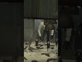 Skibidi Toilet 27