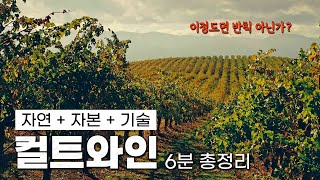 컬트 와인의 탄생과 미국 나파밸리, 아는 척 하기 딱 좋은 6분 총정리