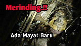 Download lagu THE MIDDLE-NIGHT GRAVE.!! mp3 Download lagu THE MIDDLE-NIGHT GRAVE.!! mp3