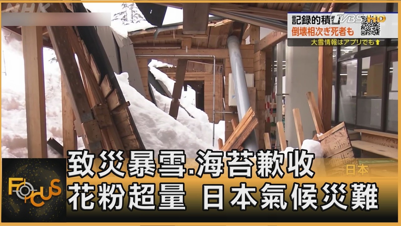 致災暴雪.海苔歉收.花粉超量 日本氣候災難