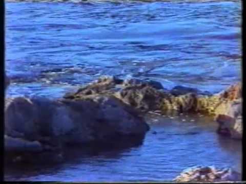 Tbissima - words & music David Azzopardi