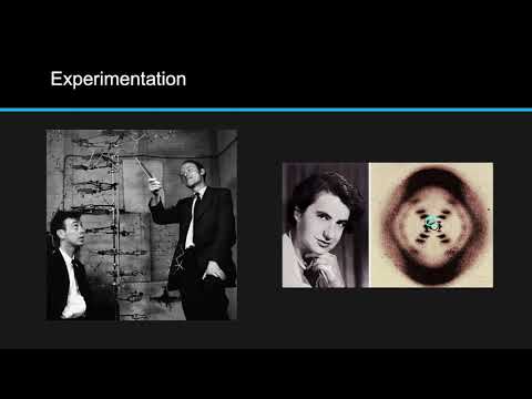 IB Biology 2.6 Review