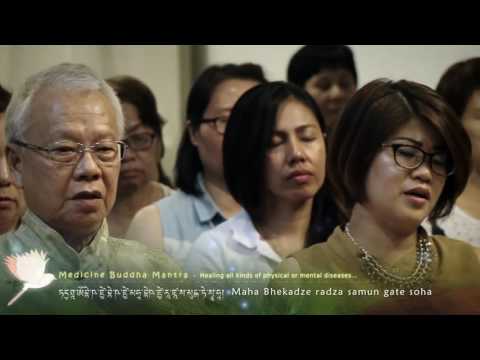 Tibetan Mantra Healing | Medcine Buddha Mantra | Drukmo Gyal