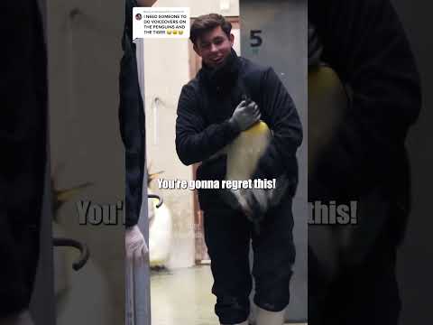 🐧 Penguin Prison 🎥: odensezoodk (🕰️) #shorts