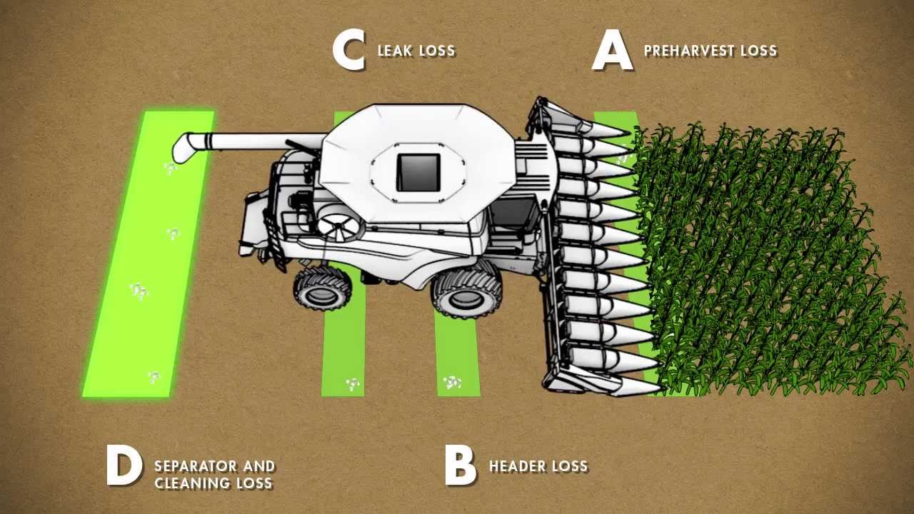 Harvest Loss