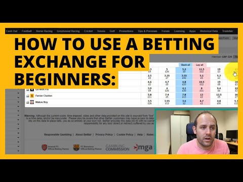 How to Use a Betting Exchange | Betfair Trading for Beginners