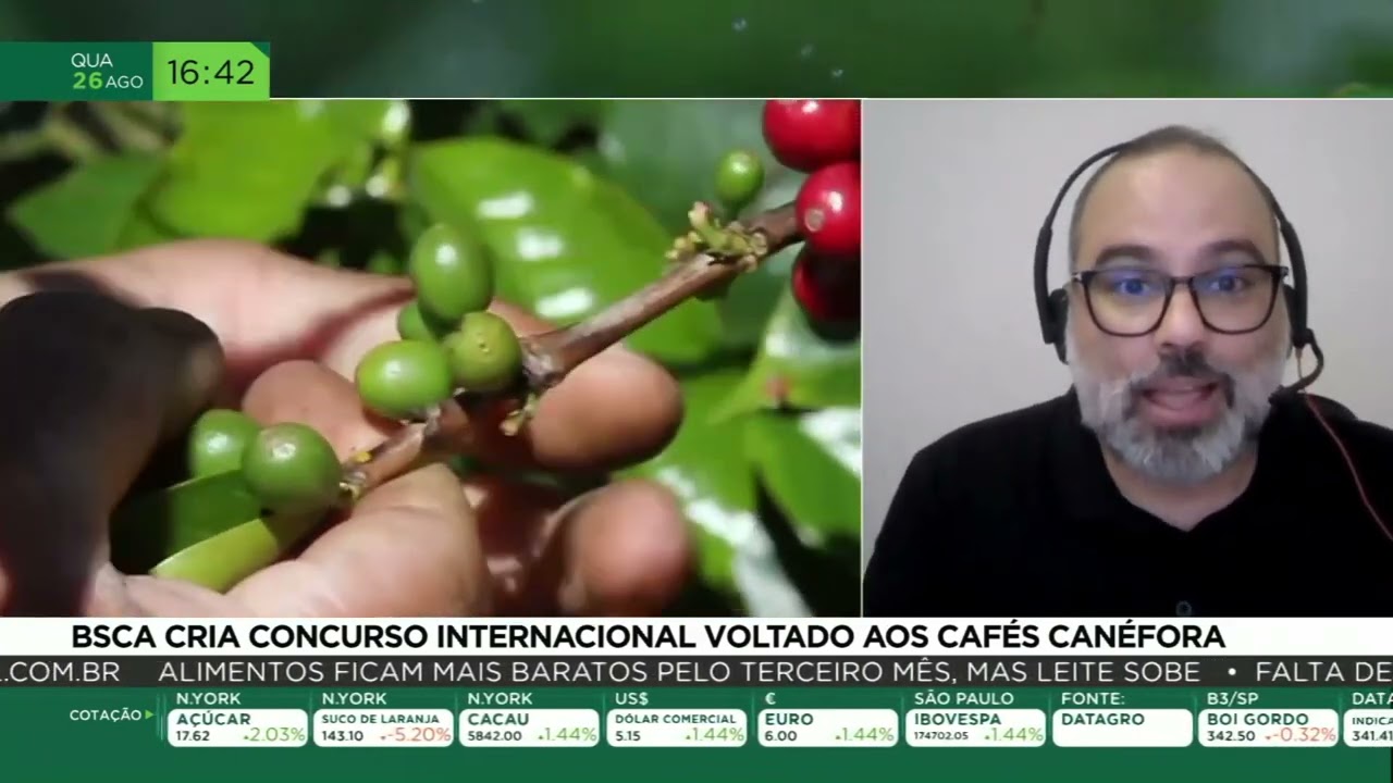 BSCA cria concurso internacional voltado aos cafés canéfora
