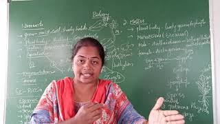 Liverworts and Mosses | Plant Kingdom | Class- 11 Biology