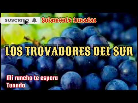 Si Vinieras A Mi Rancho - Los Trovadores Carorenos
