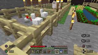 【マイクラ】やるよ