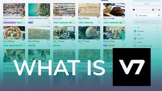 V7 Darwin YouTube Video