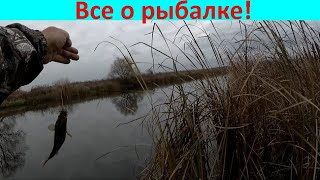 Рыбалка с кивком на летнюю удочку разновидности