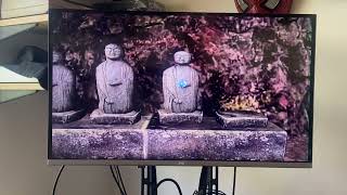 Ninja gaiden Xbox gameplay og Xbox #xbox #retrogaming