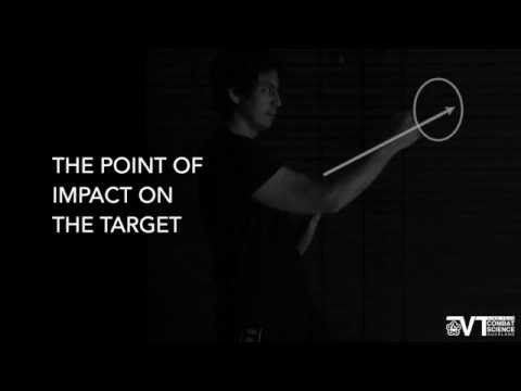 The Basic Wing Chun / Ving Tsun Punch - Power From The Ground