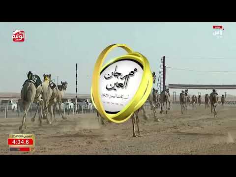  ش 3 (حطام) سعادة محمد سلطان مرخان الكتبي 9:23:01 , ختامي العين 2026/10/08 حول زمول الروضة
