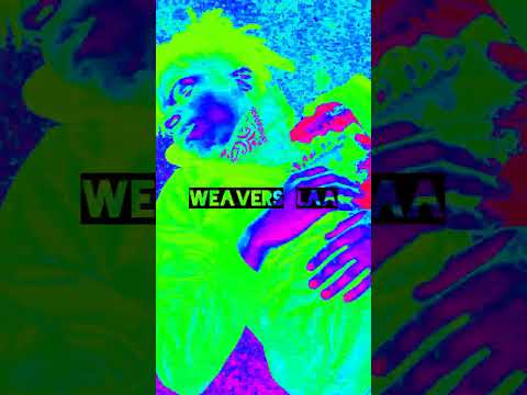 Madden x Beal Bandz x busha mula bigz x weavers laa