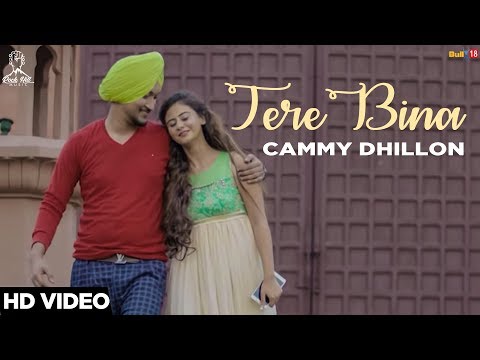 Tere Bina