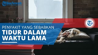 Sindrom Putri Tidur, Penyakit Saraf yang Sebabkan Penderita Tidur dalam Jangka Waktu Sangat Lama