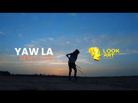Carlou D - Yaw La remix live (Clip officiel )