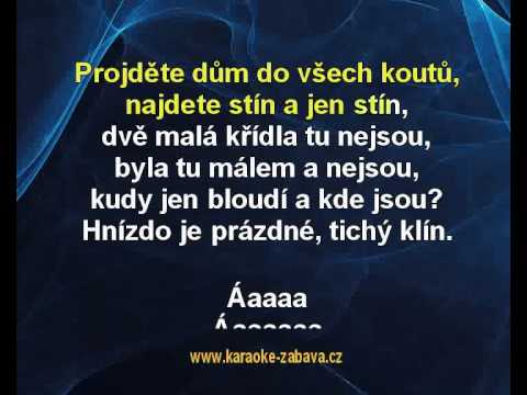 Helena Vondráčková - Dvě malá křídla (karaoke z www.karaoke-zabava.cz)