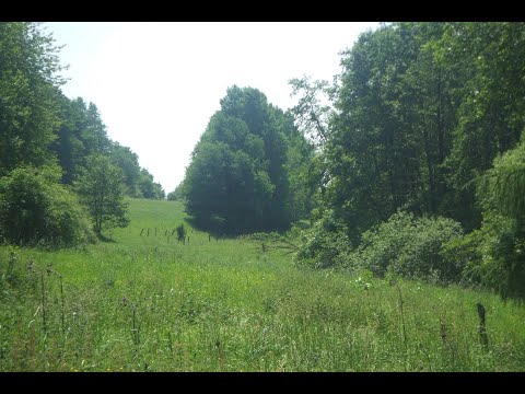 Acid Inspektor - 2025 - TB-03 & TR-06 Acid Techno Jam - Part 2  [new DAW'less Jam Track Part]