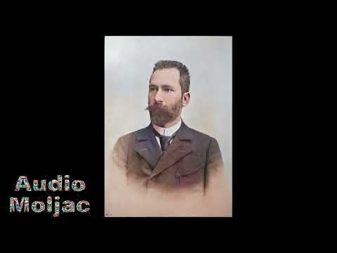 Posljednji Stipancici 5 - Vjenceslav Novak