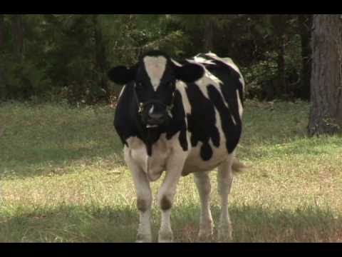 Welcome Philip Mann!