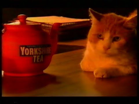 Tyne Tees Adverts and Continuity - Sunday 3 October 1999 (1)