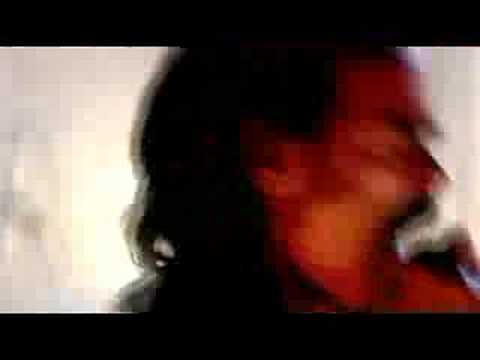 Grinderman - Honey Bee (Let's Fly To Mars) - Live On Later