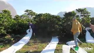 Miniatura do vídeo