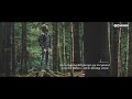 Nilave Vaa Cover By Nivas WhatsApp Status Video Timu