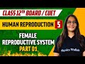 Human Reproduction 05 | Female Reproductive System (Part 1) | Class 12th/CUET
