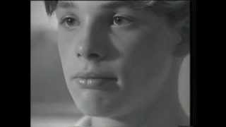 Angeles y Arcangeles