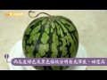 西瓜清涼消水腫　營養師這樣挑