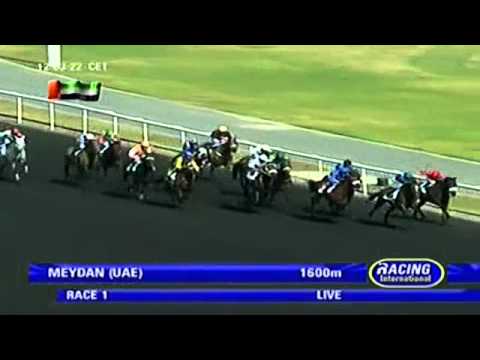 03.02.2012 Meydan (Dubai UAE) 1.Race Freehold Trophy - Handicap 1.600 m
