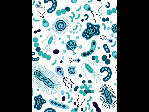 Actividad 5 VIDEO DE TECNICAS PARASITOLOGICAS