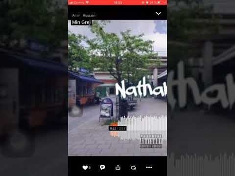 Nathan k - min grej