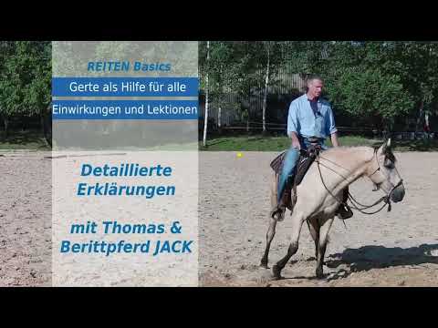 VideoTrailer Online School Reiten Basics "Gerte als Hilfe für Einwirkungen und Lektionen"