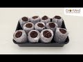 From Seed to Sprout: Growing Seedlings with Gro-Med Coco Coir Pellets