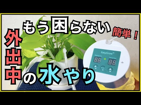 観葉植物に自動で水やりをする トピックス
