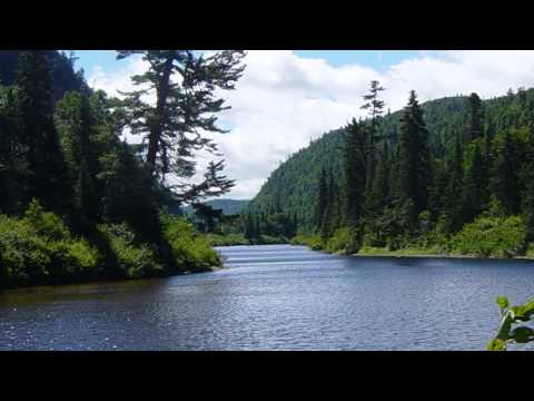 Suzanne Jennings; Woody Wright - Come to the River