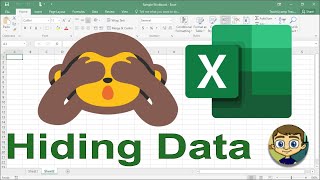 Hiding Data in Excel