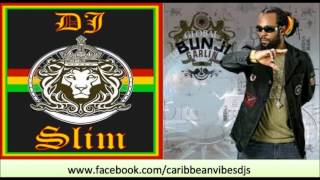 Bunji Garlin ft Collis Duranty | Another Day Just Gone - Soca 2013